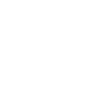 Shield with infinity symbol icon
